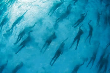 Ironman Hawaii, считающиеся самыми престижными соревнованиями этой серии, собирают сотни участников